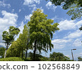 Scenery of Fujikawa Town, Yamanashi Prefecture Trees Sky Clear 102568849