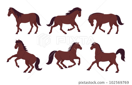 Cartoon brown horses. Graceful running, galloping and standing animals. Thoroughbred farm or ranch horses flat vector illustration collection 102569769