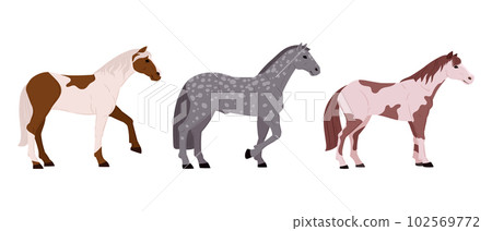Cartoon horses. Thoroughbred graceful animals, farm or ranch spotted horses flat vector illustration set. Domestic horses collection 102569772