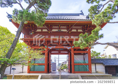 Kazuraidera Nandaimon 紫藤節～大阪府藤井寺～ 102569851