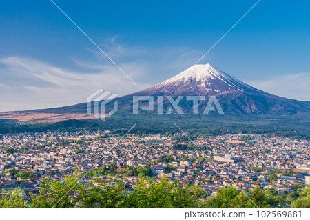 (Yamanashi Prefecture) Mt. Fuji seen from Arakurayama Sengen Park, the beauty of Japan's fresh greenery, in the early morning (Yamanashi Prefecture) Mt. Fuji seen from Arakurayama Sengen Park, the beauty of Japan's fresh greenery, in the early morning 102569881