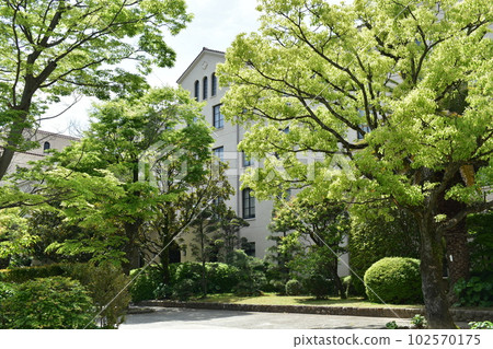 Kwansei Gakuin University Faculty of Law Kwansei Gakuin University Faculty of Law 102570175