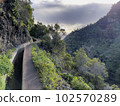 Wonderful hiking trail along levada on Madeira Island, 102570289