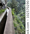 Wonderful hiking trail along levada on Madeira Island, 102570290