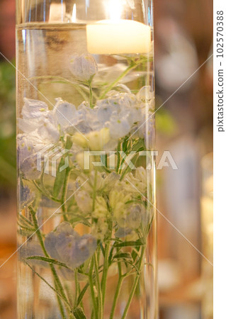 flowers in water flowers in water 102570388