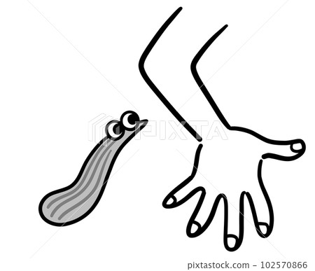 A leech that attacks people Black and white 102570866