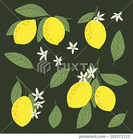 Set with blossoming lemon plant, flowers, leaves 102571115