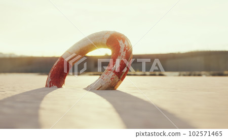Lifebuoy on the city beach at sunset 102571465