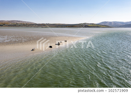 Seals swimming and and resting at Gweebarra bay - County Donegal, Ireland Seals swimming and and resting at Gweebarra bay - County Donegal, Ireland 102571909