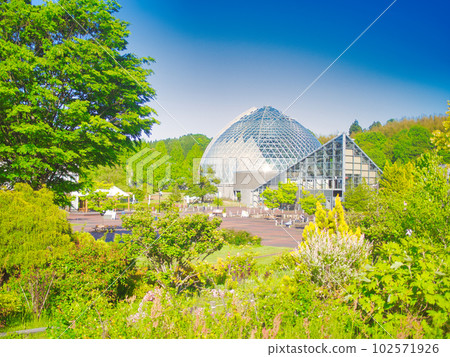 Niigata City: Early Summer at Niigata Prefectural Botanical Circle 102571926