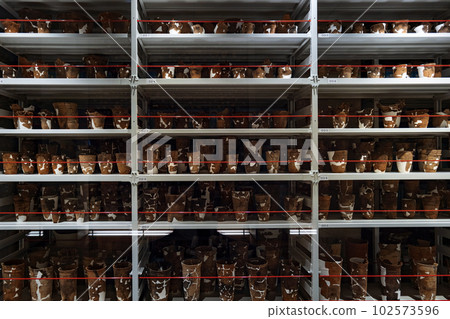 青森縣三內丸山遺址出土的陶器和石器 102573596