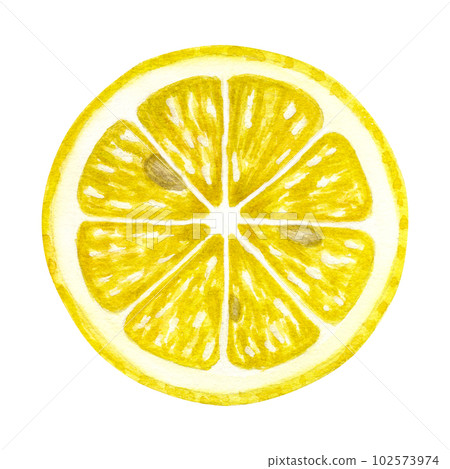 Yellow lemon round citrus slice fruits. Hand drawn watercolor illustration isolated on white background. Design element for bar, restaurant menu, recipes, logo 102573974