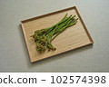 蕨菜野菜 102574398