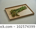 蕨菜野菜 102574399