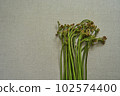 蕨菜野菜 102574400