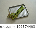 蕨菜野菜 102574403