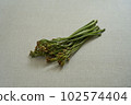 蕨菜野菜 102574404