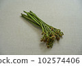 蕨菜野菜 102574406