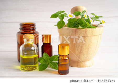 Alternative medicine herbal organic capsule with vitamin E omega 3 fish oil, mineral, drug with herbs leaf natural supplements for healthy good life. Alternative medicine herbal organic capsule with vitamin E omega 3 fish oil, mineral, drug with herbs leaf natural supplements for healthy good life. 102574474