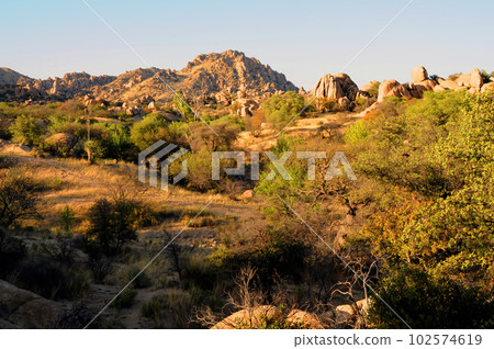 Texas Canyon Sonora Desert Arizona 102574619