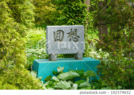 長沼市立長沼第一小學(停課舊址) 長沼市立長沼第一小學(停課舊址) 102574632