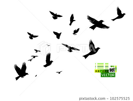 A flock of flying birds. Vector illustration A flock of flying birds. Vector illustration 102575525