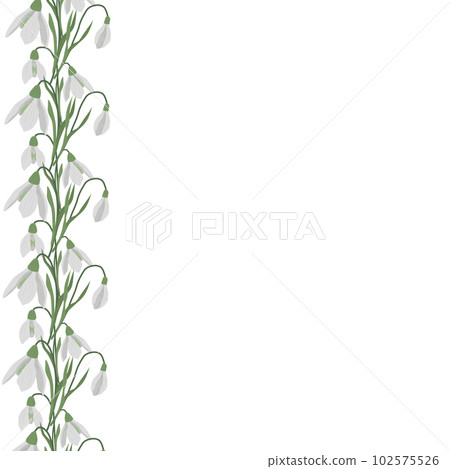 A frame of snowdrops for your design. First spring flowers. Vector illustration. A frame of snowdrops for your design. First spring flowers. Vector illustration. 102575526