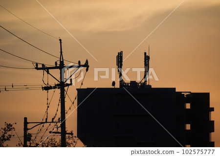 The yellow hazy sky and the silhouette of the building at sunset 102575777