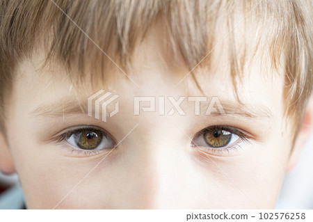 Eyes of a child close up. A look of a little boy. Eyes of a child close up. A look of a little boy. 102576258