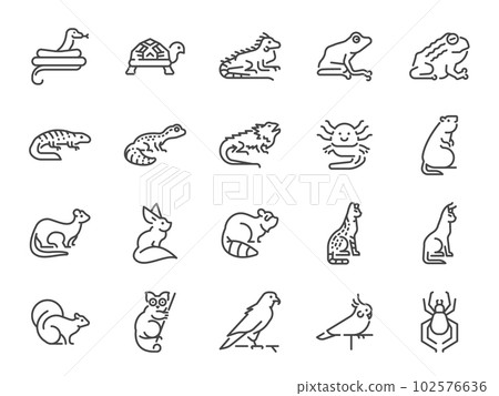 Exotic pet icon set. It included the turtle, frog, lizard, and more icons. 102576636