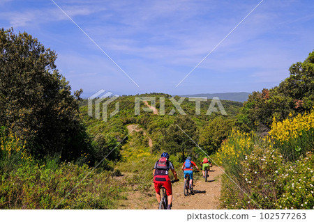 Unrecognisable mountain bikers ride on a firebreak trail over the beautiful landscape with its hills in Tuscany, Massa Marittima, Italy 102577263