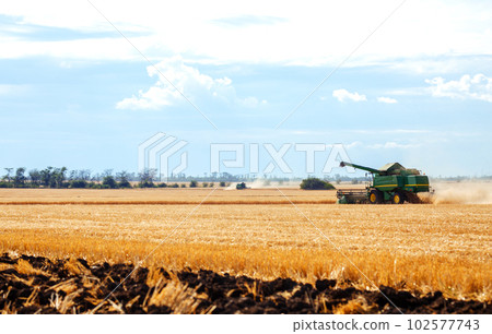 Time to harvest! Beautiful view of the work of the combine harvesting wheat. Harvester machine. 102577743