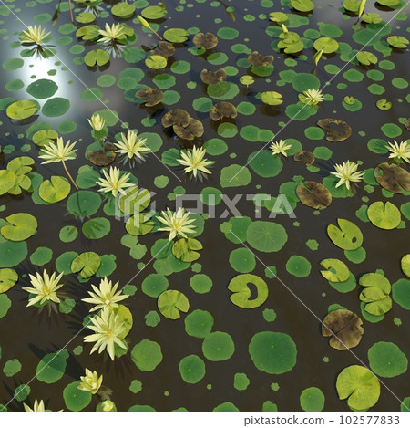 3D illustration Background for advertising and wallpaper in nature and adventure scene. 3D rendering in decorative concept. 102577833