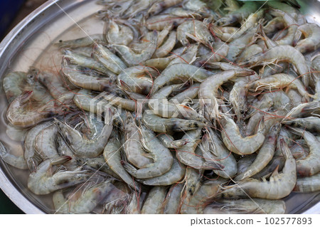 Chilled shrimp in stainless steel tray, sold at fresh market Chilled shrimp in stainless steel tray, sold at fresh market 102577893