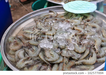 Frozen shrimp with ice cubes in a stainless steel tray Sell at the community market Frozen shrimp with ice cubes in a stainless steel tray Sell at the community market 102577894