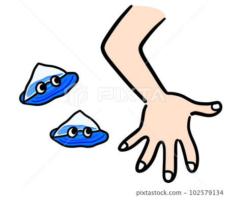 Bonito Crested Crows Attacking People Bonito Crested Crows Attacking People 102579134