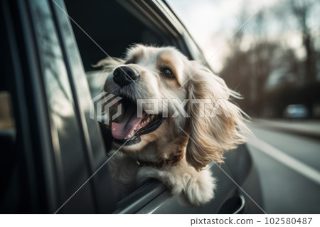 A dog's delight - enjoying the ride with head out the window, feeling the motion of the car and the joy of adventure. AI Generative. 102580487