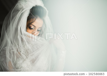 Beautiful bride wearing fashion wedding dress with feathers with luxury delight make-up and hairstyle, studio indoor photo shoot Beautiful bride wearing fashion wedding dress with feathers with luxury delight make-up and hairstyle, studio indoor photo shoot 102580863
