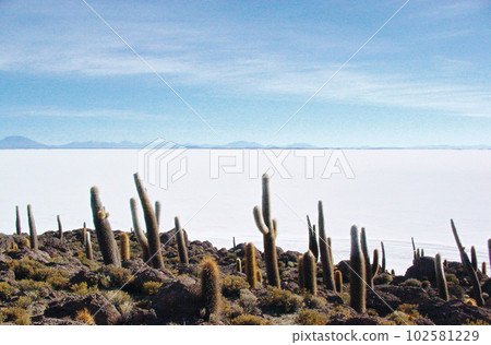 View of Uyuni Salt Lake from Incahuasi Island, Bolivia View of Uyuni Salt Lake from Incahuasi Island, Bolivia 102581229