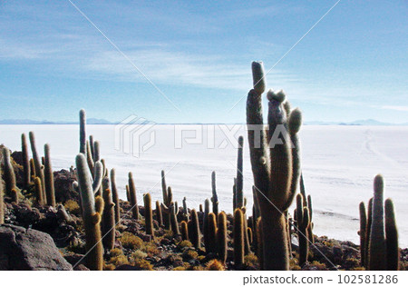 View of Uyuni Salt Lake from Incahuasi Island, Bolivia 102581286