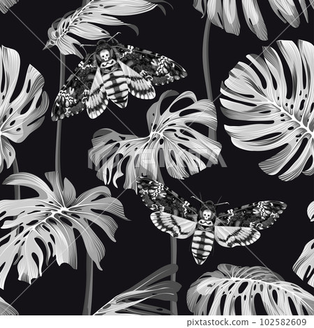 Monstera leaves and Death's Head Hawk Moth. Tropical black and white seamless pattern. Monstera leaves and Death's Head Hawk Moth. Tropical black and white seamless pattern. 102582609
