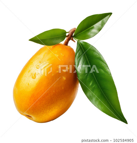 Mango fruit isolated. Illustration AI Generative Mango fruit isolated. Illustration AI Generative 102584905