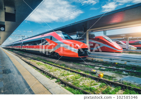 Modern intercity passenger trains on the railway station 102585346