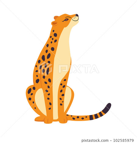 Sitting Leopard as Wild Cat with Long Spotted Body Vector Illustration 102585979