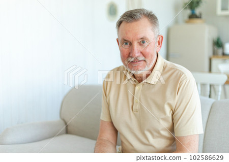 Confident stylish middle aged senior man at home. Older mature 70s man smiling. Happy attractive senior beard grandfather looking camera close up face headshot portrait. Happy people Confident stylish middle aged senior man at home. Older mature 70s man smiling. Happy attractive senior beard grandfather looking camera close up face headshot portrait. Happy people 102586629