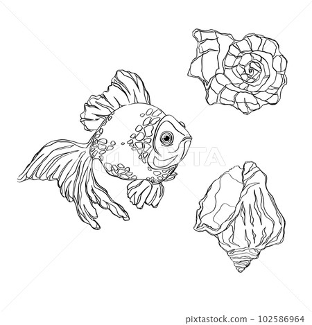 Hand drawn doodle fish, shell. Vector illustration. Hand drawn fish. Vector illustration. Sea collection. Vector of fish design on a white background. Easy editable layered vector illustration Hand drawn doodle fish, shell. Vector illustration. Hand drawn fish. Vector illustration. Sea collection. Vector of fish design on a white background. Easy editable layered vector illustration 102586964