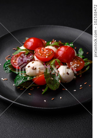 Delicious fresh salad with mozzarella cheese, cherry tomatoes, herbs, salt and spices 102588472