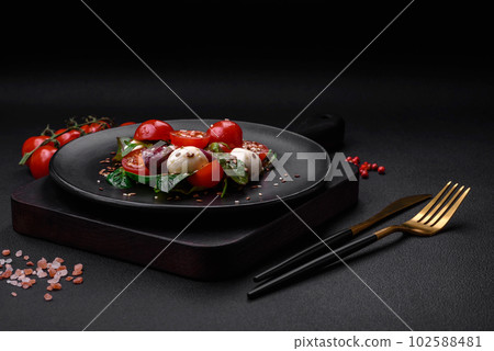 Delicious fresh salad with mozzarella cheese, cherry tomatoes, herbs, salt and spices 102588481