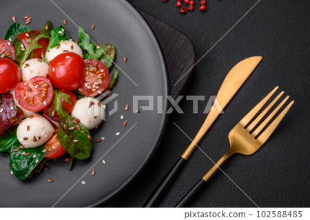 Delicious fresh salad with mozzarella cheese, cherry tomatoes, herbs, salt and spices Delicious fresh salad with mozzarella cheese, cherry tomatoes, herbs, salt and spices 102588485