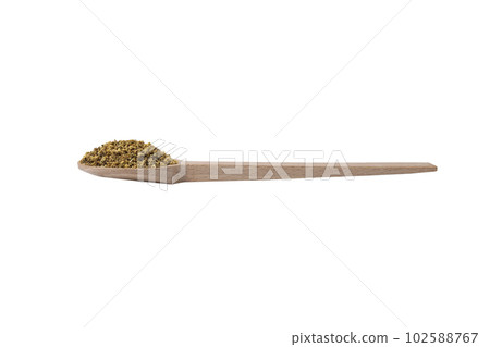 dried flowers of black lilac or black elder in latin sambuci flos on wooden spoon isolated on white background. Herbs. Alternative medicine. dried flowers of black lilac or black elder in latin sambuci flos on wooden spoon isolated on white background. Herbs. Alternative medicine. 102588767